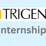 Trigent Internship