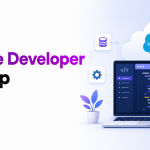 Salesforce Developer Internship