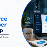 Amazon Salesforce Developer