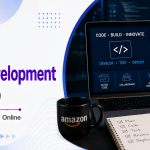 Amazon Software Development Internship
