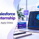 Microsoft Salesforce Developer Internship
